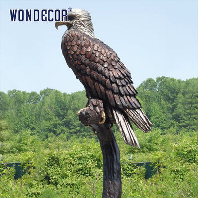 Bronze Bald Eagle Sitting on Tree